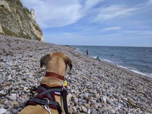 102422739 2008035095993770 6254744444914892800 N