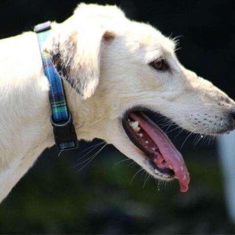 33830120 1332847780179175 8911205021983440896 N