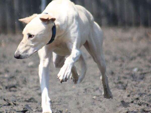 34284648 1332847793512507 7432626620113879040 N