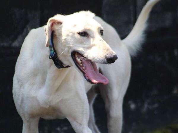 34319887 1332847773512509 3180476415728418816 N