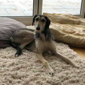 48052404 1504218566375428 5374037782844932096 N