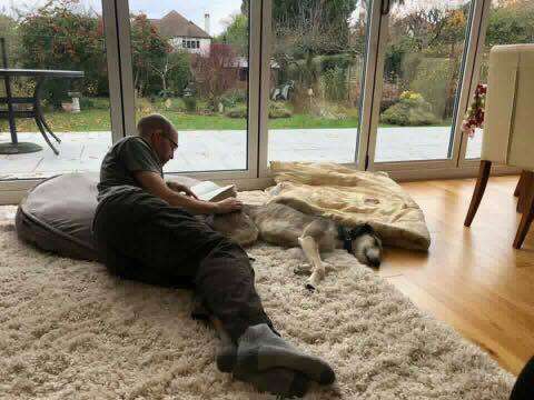 47580958 1504218576375427 1415670484036485120 N