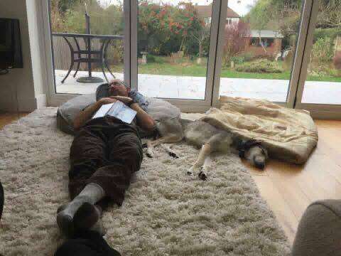 47682111 1504218573042094 803597842894553088 N