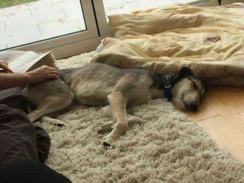 47579085 1504218579708760 2532661262907604992 N