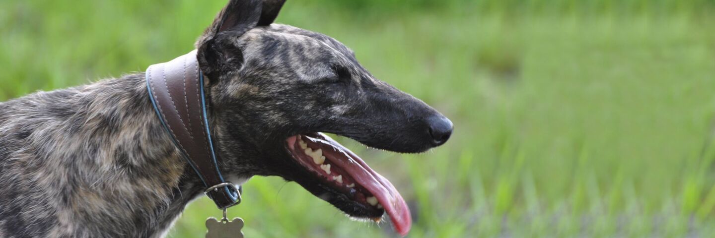 9F1D66F78Ffd45817Bd527Fb9D7959C8F5196674