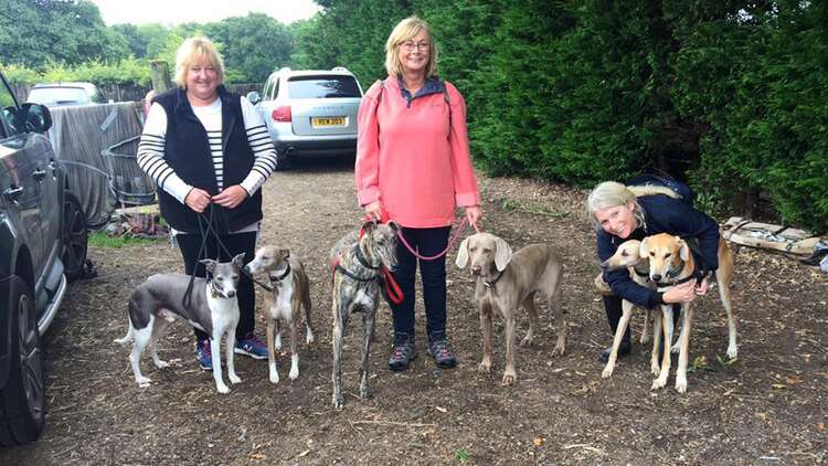 A40224A0B12815451305D7376C0A7Acbbc0A84Ad